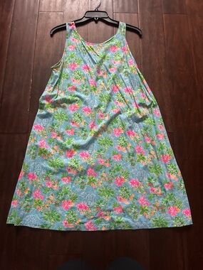 Lilly Pulitzer Disney dress